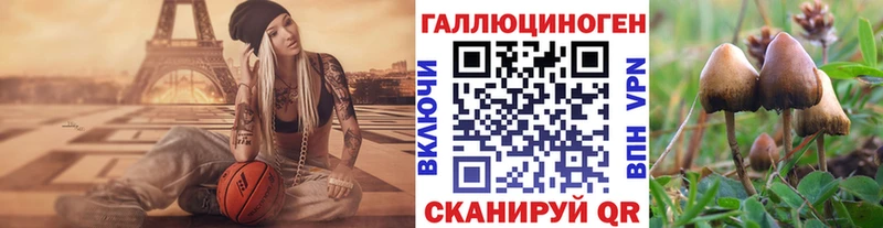 Псилоцибиновые грибы Psilocybine cubensis  как найти закладки  Краснообск 